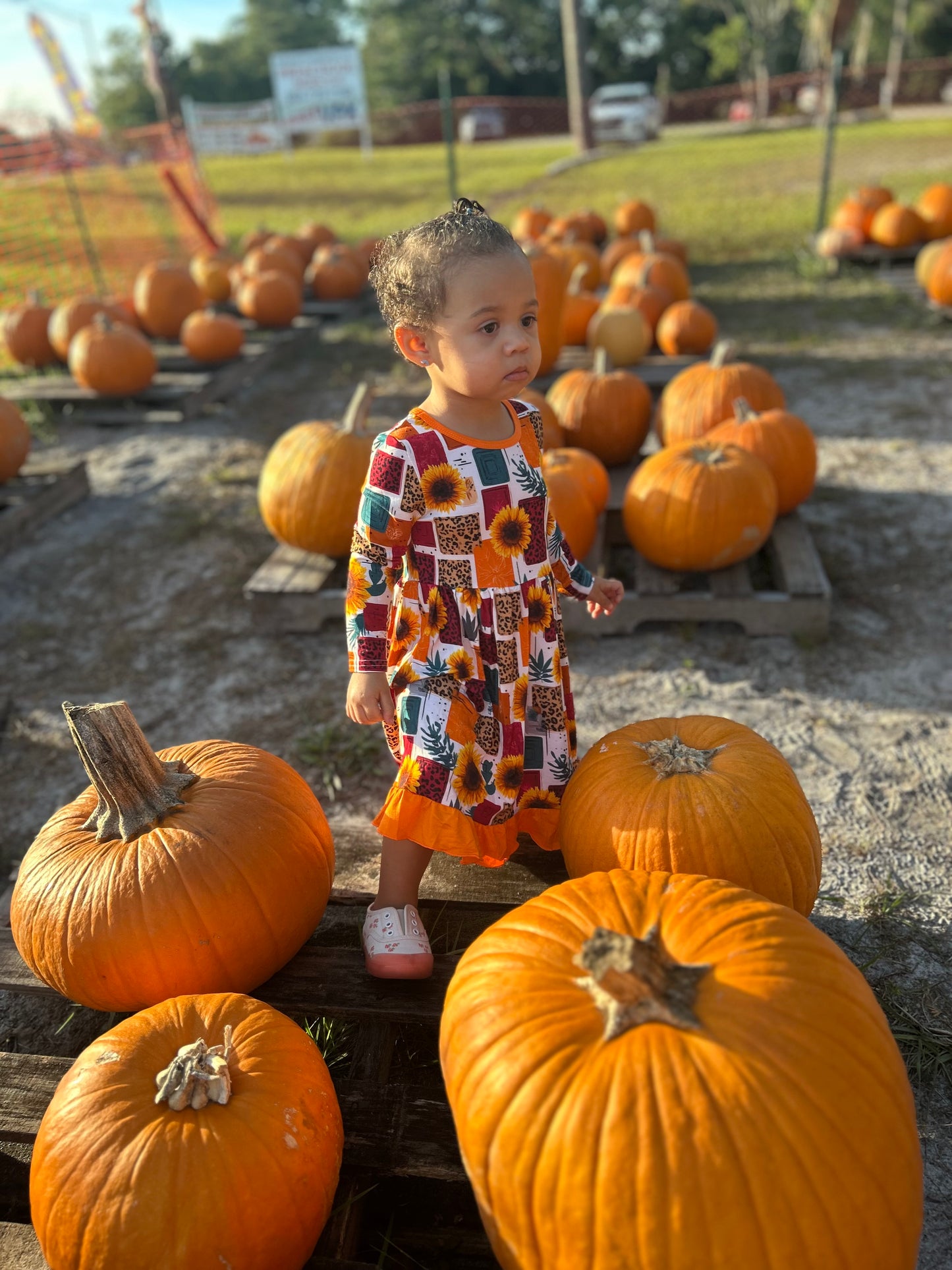 Wild Flower Patch Dress