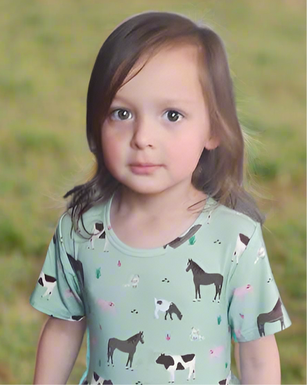 Grandpa’s Farm Sage Bamboo Twirl Dress with Pockets