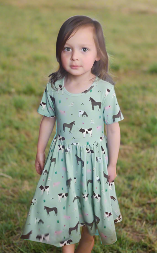 Grandpa’s Farm Sage Bamboo Twirl Dress with Pockets